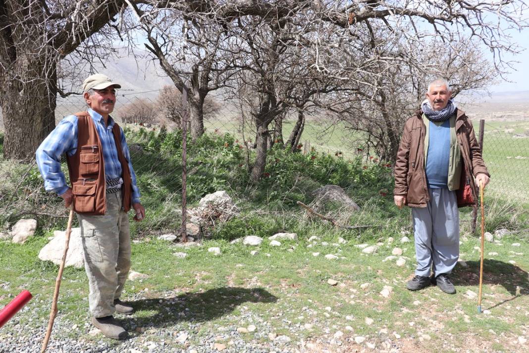 Bu insanlar neye bakıyor? Gece-gündüz nöbet tutuyorlar, ilk kez görenler şaştı kaldı! 2